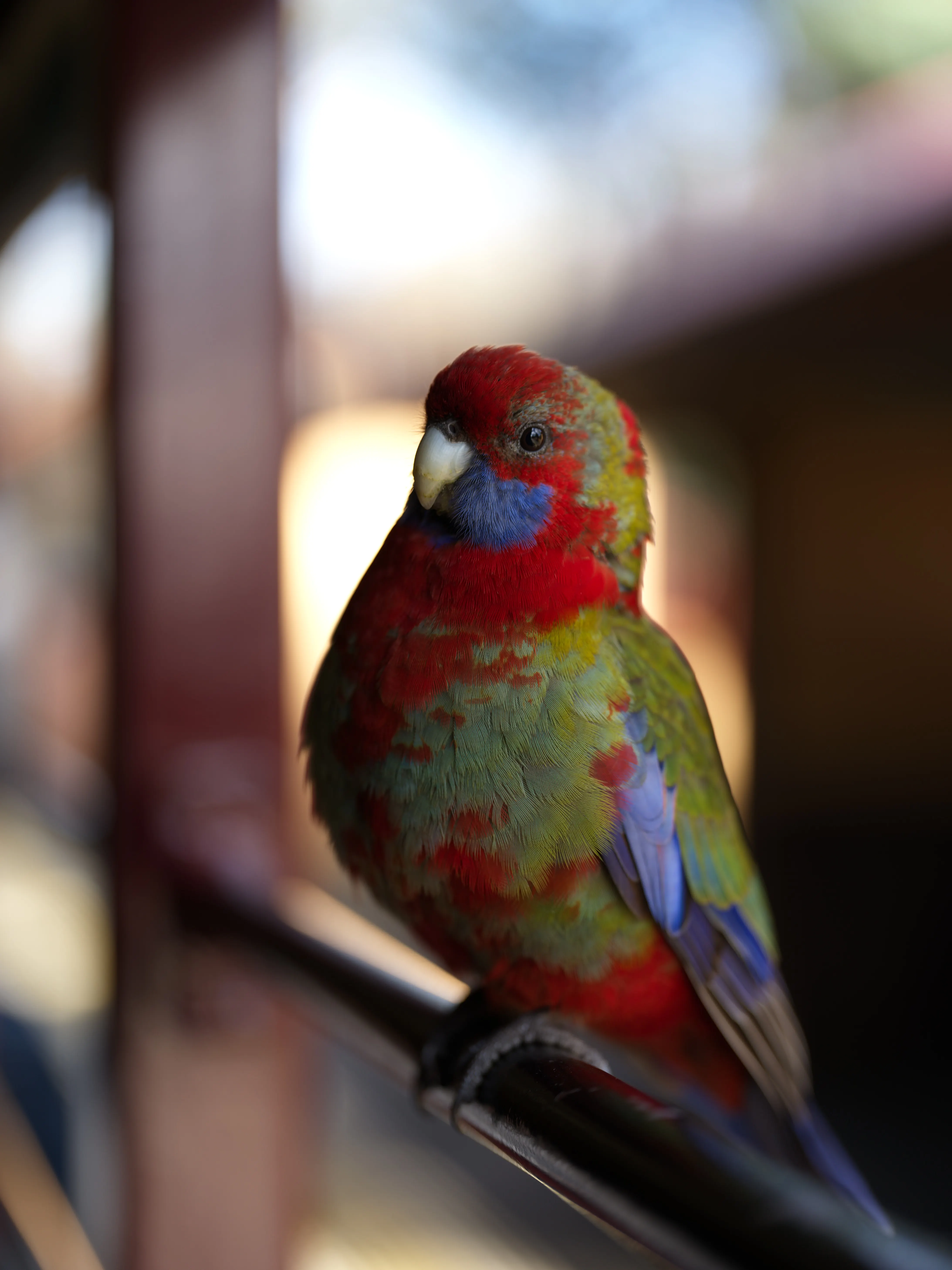 blog 0008